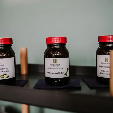 Hotel & Restaurant Heyligenstaedt 4*